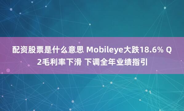 配资股票是什么意思 Mobileye大跌18.6% Q2毛利率下滑 下调全年业绩指引