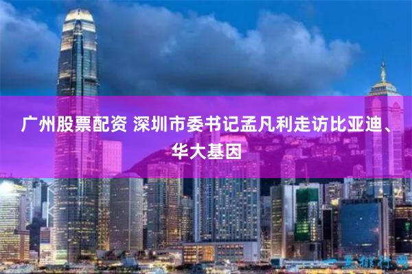 广州股票配资 深圳市委书记孟凡利走访比亚迪、华大基因