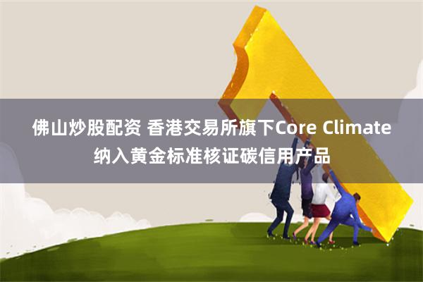 佛山炒股配资 香港交易所旗下Core Climate纳入黄金标准核证碳信用产品