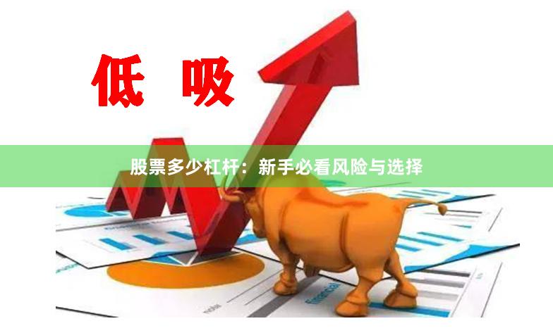 股票多少杠杆：新手必看风险与选择